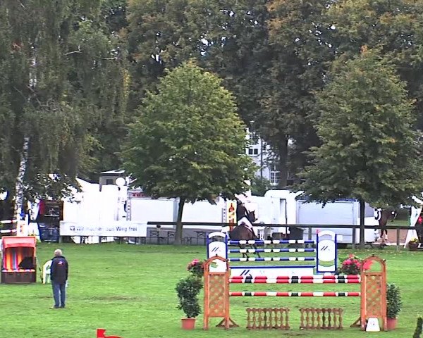 Reitturnier Bad Segeberg 2015