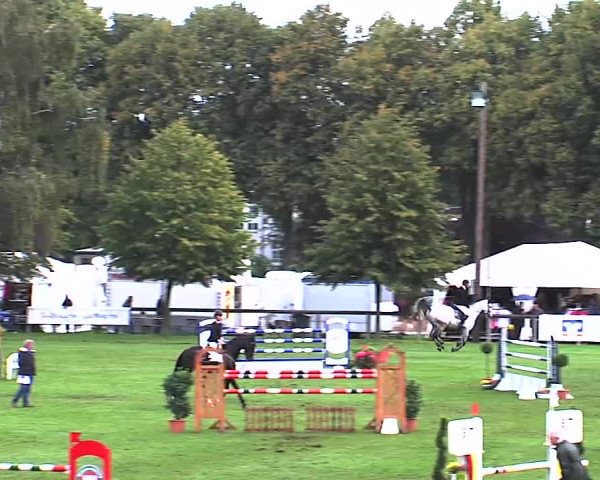 Reitturnier Bad Segeberg 2015