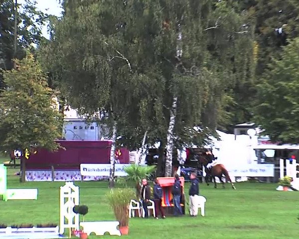 Reitturnier Bad Segeberg 2015