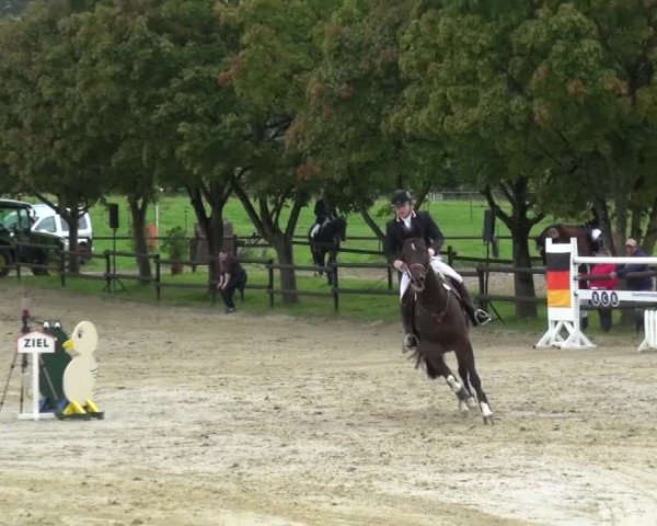 Reitturnier Bergisch Gladbach-Paffrath 2015