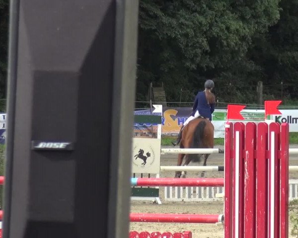 Reitturnier Bergisch Gladbach-Paffrath 2015