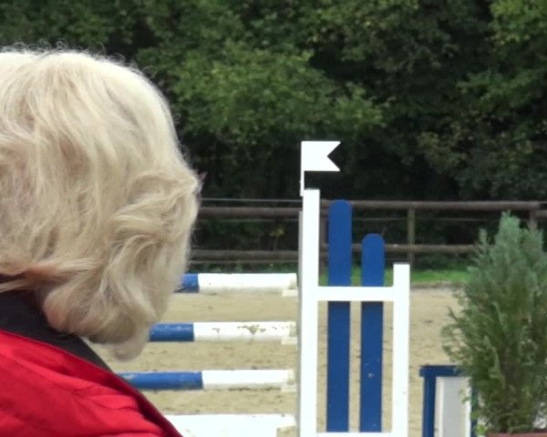 Reitturnier Bergisch Gladbach-Paffrath 2015