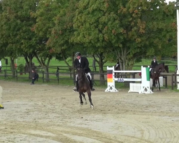 Reitturnier Bergisch Gladbach-Paffrath 2015