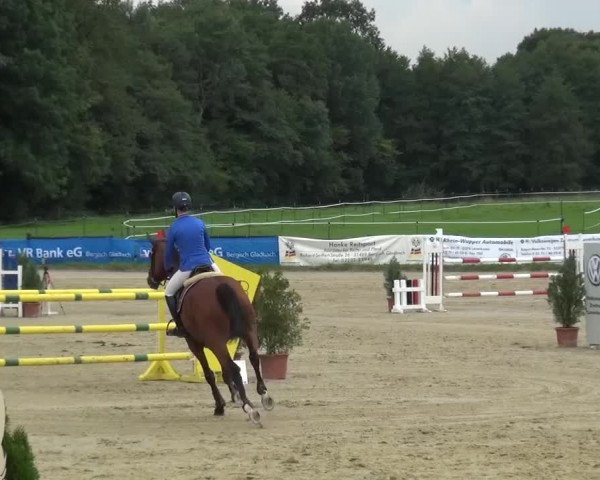 Reitturnier Bergisch Gladbach-Paffrath 2015