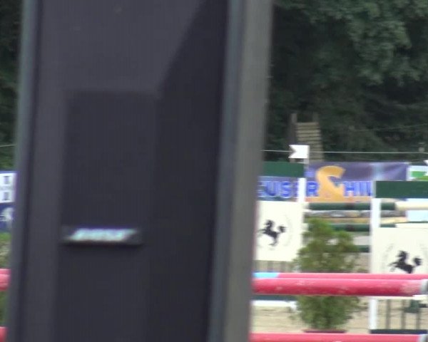 Reitturnier Bergisch Gladbach-Paffrath 2015