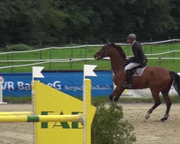 Reitturnier Bergisch Gladbach-Paffrath 2015