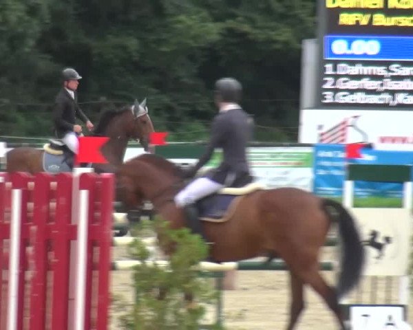 Reitturnier Bergisch Gladbach-Paffrath 2015
