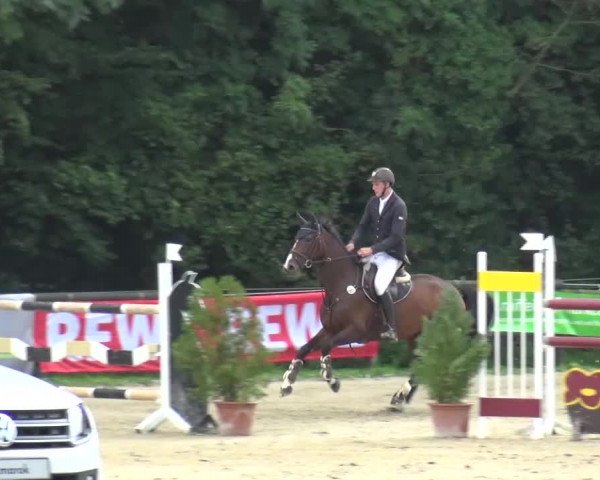 Reitturnier Bergisch Gladbach-Paffrath 2015