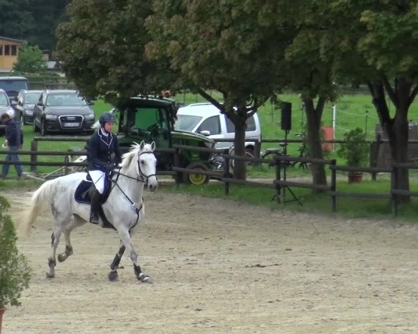 Reitturnier Bergisch Gladbach-Paffrath 2015