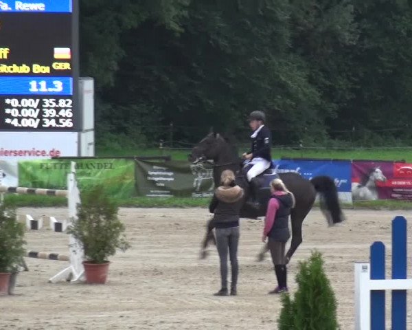 Reitturnier Bergisch Gladbach-Paffrath 2015