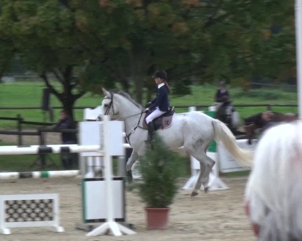 Reitturnier Bergisch Gladbach-Paffrath 2015