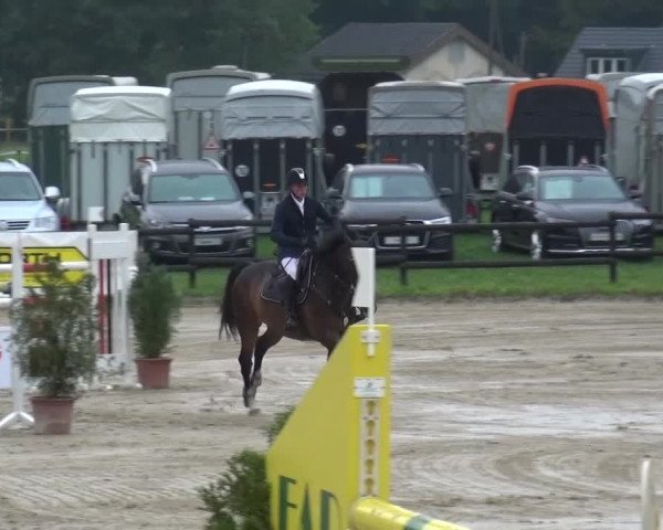 Reitturnier Bergisch Gladbach-Paffrath 2015