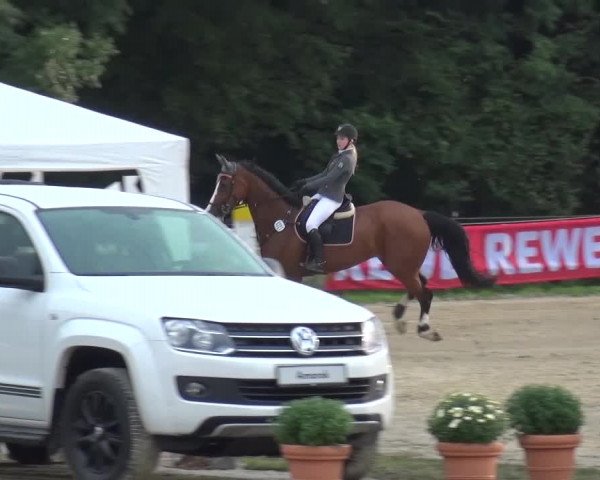 Reitturnier Bergisch Gladbach-Paffrath 2015