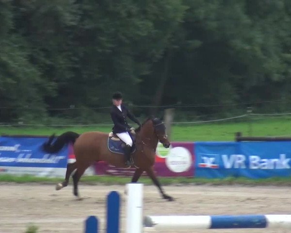 Reitturnier Bergisch Gladbach-Paffrath 2015