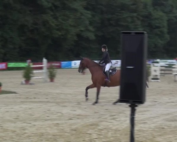Reitturnier Bergisch Gladbach-Paffrath 2015