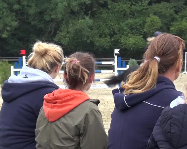 Reitturnier Bergisch Gladbach-Paffrath 2015