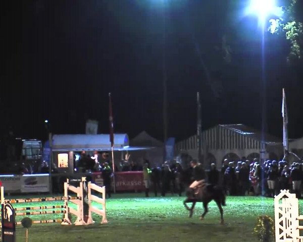 Reitturnier Bad Segeberg 2015