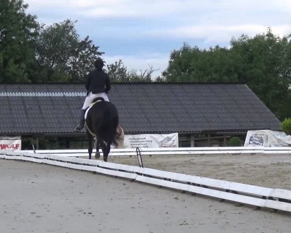 Reitturnier Lohmar-Hausdorp 2015