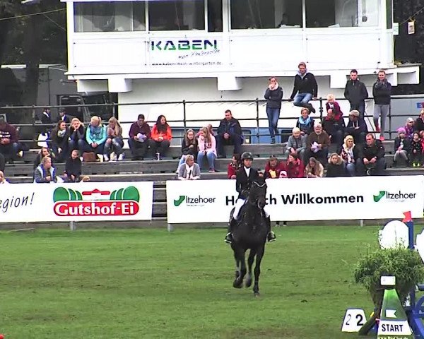 Reitturnier Bad Segeberg 2015