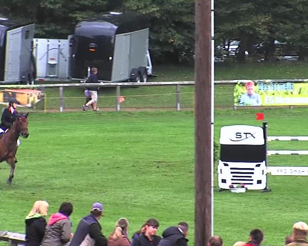 Reitturnier Bad Segeberg 2015