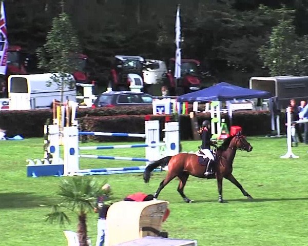 Reitturnier Bad Segeberg 2015
