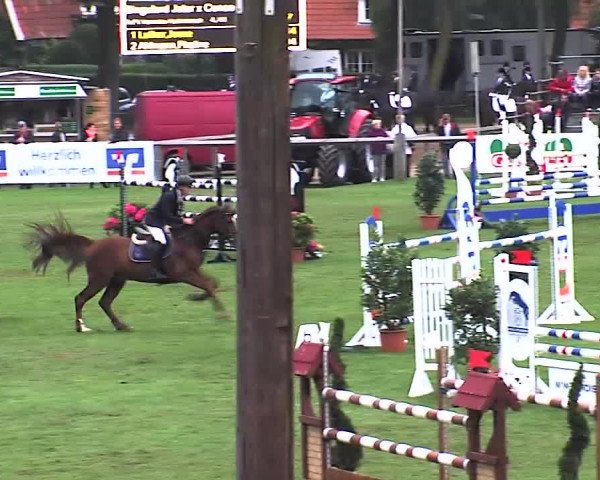 Reitturnier Bad Segeberg 2015