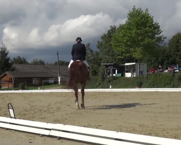 Reitturnier Lohmar-Hausdorp 2015