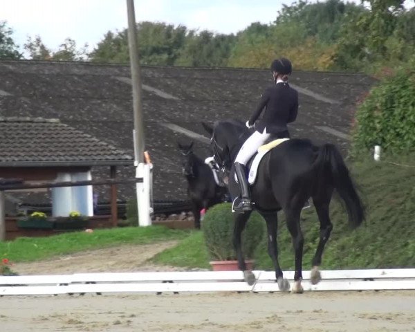 Reitturnier Lohmar-Hausdorp 2015