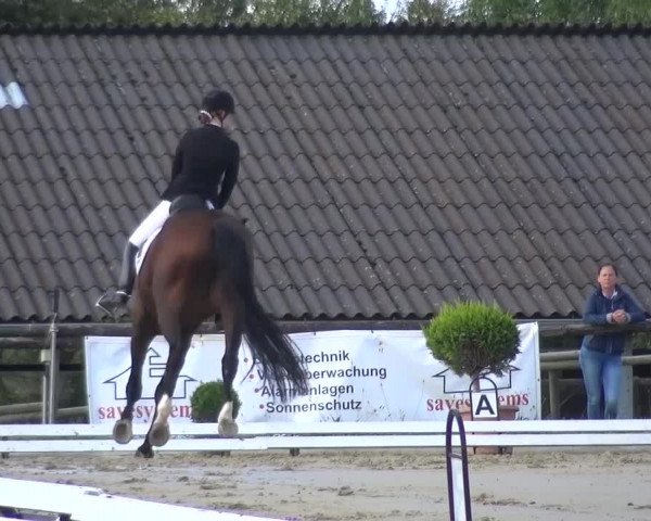 Reitturnier Lohmar-Hausdorp 2015