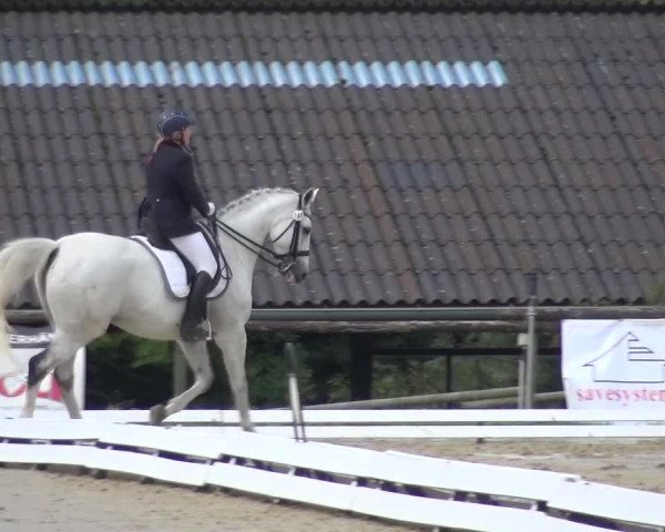Reitturnier Lohmar-Hausdorp 2015