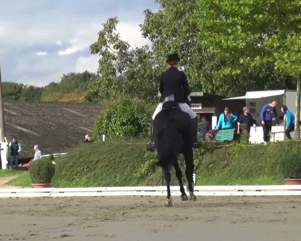 Reitturnier Lohmar-Hausdorp 2015