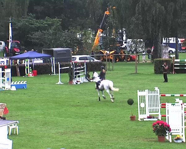 Reitturnier Bad Segeberg 2015