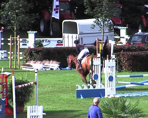 Reitturnier Bad Segeberg 2015
