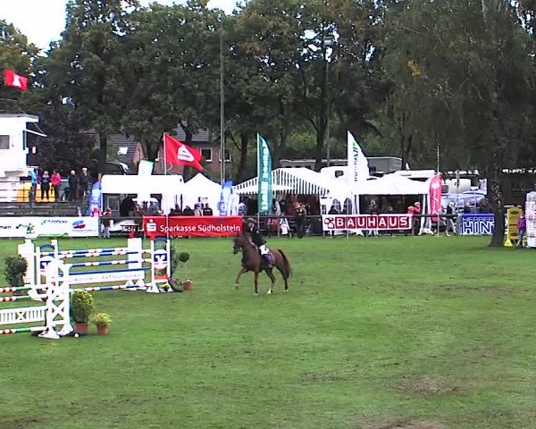 Reitturnier Bad Segeberg 2015