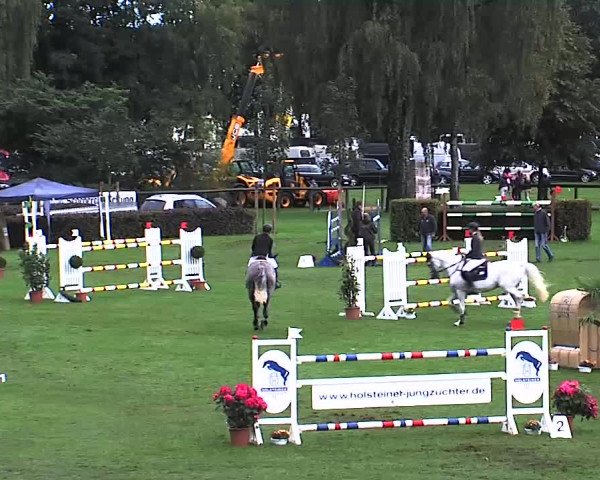 Reitturnier Bad Segeberg 2015