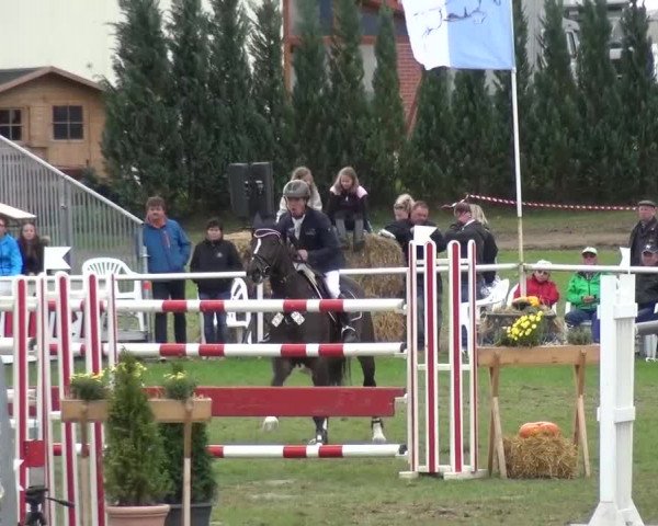 11. Allröder Reitertage - Hotelturnier "Harzer Land"