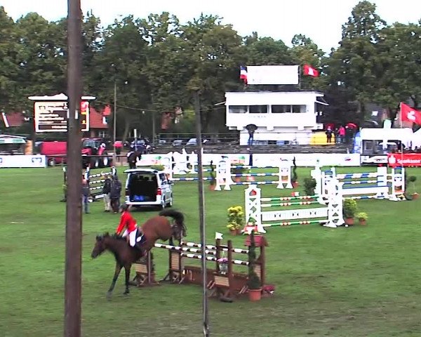 Reitturnier Bad Segeberg 2015