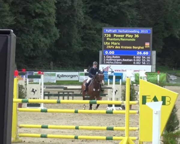 Reitturnier Bergisch Gladbach-Paffrath 2015