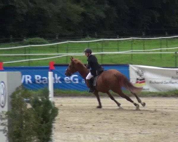Reitturnier Bergisch Gladbach-Paffrath 2015