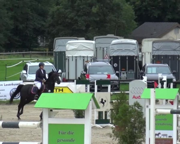 Reitturnier Bergisch Gladbach-Paffrath 2015