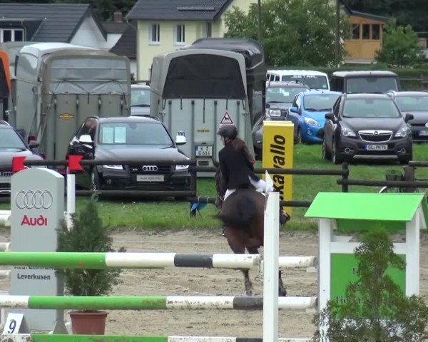 Reitturnier Bergisch Gladbach-Paffrath 2015