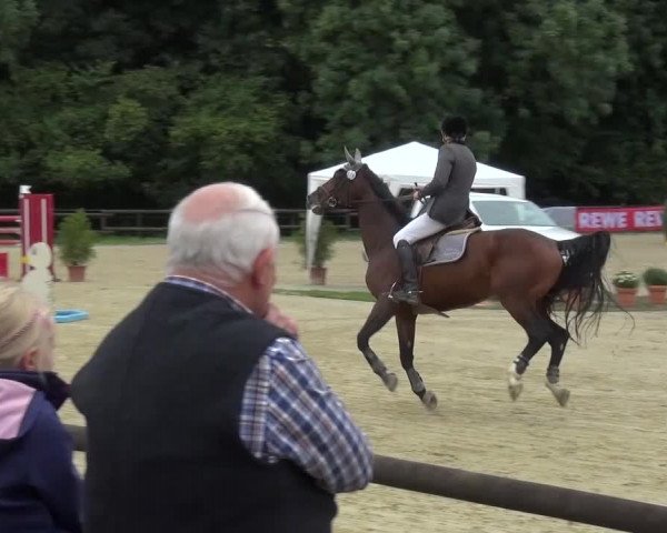 Reitturnier Bergisch Gladbach-Paffrath 2015