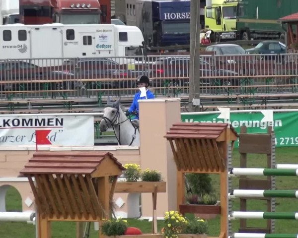 11. Allröder Reitertage - Hotelturnier "Harzer Land"