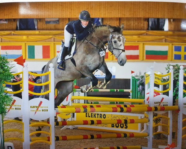 Springpferd Tiara le grand (Deutsches Reitpferd, 2015, von Chamberlain D)