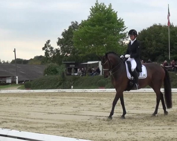 Reitturnier Lohmar-Hausdorp 2015
