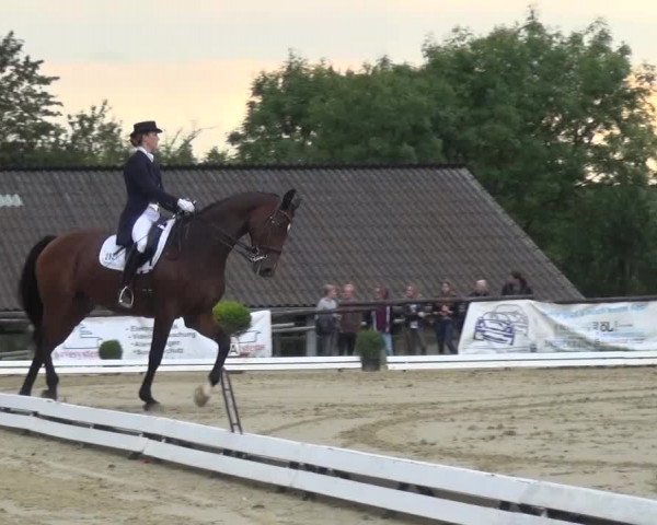 Reitturnier Lohmar-Hausdorp 2015