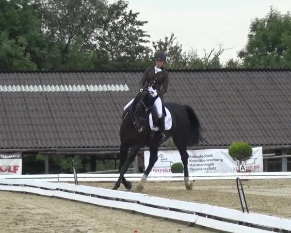 Reitturnier Lohmar-Hausdorp 2015