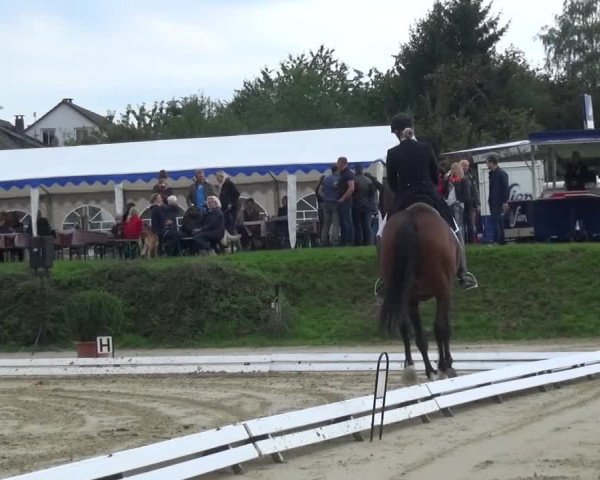 Reitturnier Lohmar-Hausdorp 2015