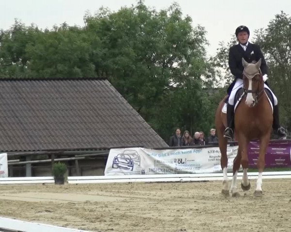 Reitturnier Lohmar-Hausdorp 2015