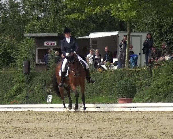 Reitturnier Lohmar-Hausdorp 2015
